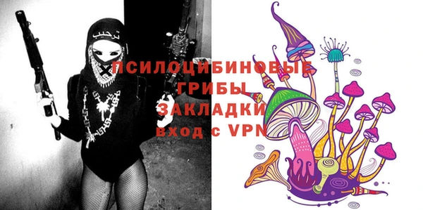 spice Осташков