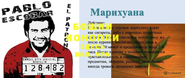 spice Осташков