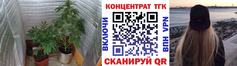 Дистиллят ТГК вейп  купить наркотик  mega маркетплейс  Хотьково 