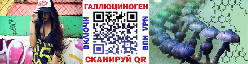Галлюциногенные грибы Psilocybine cubensis  Хотьково 